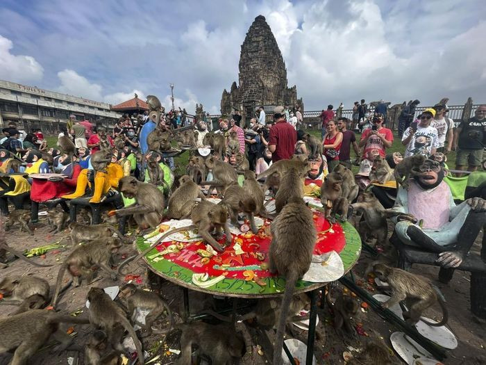 Thái Lan tổ chức đại tiệc cho gần 4.000 con khỉ